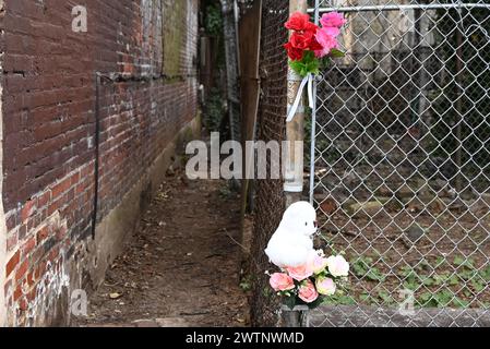 Philadelphia, Usa. März 2024. Teddybär- und Blumendenkmal auf einem Zaun an der Stelle, an der menschliche Überreste eines zerfallenen Kindes in einem Seesack in einer Gasse in Philadelphia gefunden wurden. Gegen 9:50 Uhr reagierte die Polizei am Montag Morgen auf den Block 600 der North 38th Street. Die Polizei wurde von einem Mann getroffen, der im hinteren Teil des Grundstücks arbeitete, und der Mann wies die Polizisten zu einem Seesack, der die „stark zersetzten Überreste eines Kindes“ enthielt. Zu diesem Zeitpunkt ist das Geschlecht unbekannt. Quelle: SOPA Images Limited/Alamy Live News Stockfoto