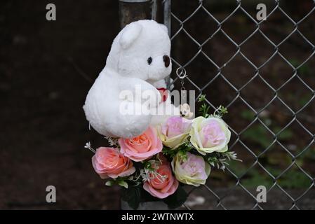 Philadelphia, Usa. März 2024. Teddybär-Gedenkstätte auf einem Zaun an der Stelle, an der menschliche Überreste eines zersetzten Kindes in einem Seesack in einer Gasse in Philadelphia gefunden wurden. Gegen 9:50 Uhr reagierte die Polizei am Montag Morgen auf den Block 600 der North 38th Street. Die Polizei wurde von einem Mann getroffen, der im hinteren Teil des Grundstücks arbeitete, und der Mann wies die Polizisten zu einem Seesack, der die „stark zersetzten Überreste eines Kindes“ enthielt. Zu diesem Zeitpunkt ist das Geschlecht unbekannt. (Foto: Kyle Mazza/SOPA Images/SIPA USA) Credit: SIPA USA/Alamy Live News Stockfoto