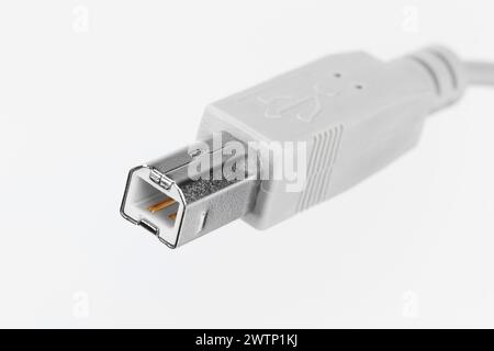 USB-Anschluss Typ B zum Anschließen eines Druckers in Nahaufnahme auf weißem Hintergrund Stockfoto