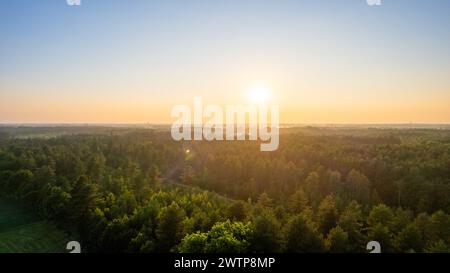 Dieses Bild fängt einen atemberaubenden Sonnenaufgang mit goldenen Strahlen über eine üppige Waldlandschaft ein. Der Horizont wird mit dem warmen Sonnenschein beleuchtet und vermittelt ein Gefühl der Erneuerung und Hoffnung. Die Gipfel der Bäume werden durch das Sonnenlicht hervorgehoben, was auf das wimmelnde Leben hindeutet, das darin gedeiht. Diese Aussicht aus der Luft gibt uns ein Gefühl der Pracht des Erwachens der Natur. Goldener Sonnenaufgang über üppigem Wald. Hochwertige Fotos Stockfoto