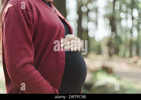 Asiatische indonesische schwangere Frau streichelt ihren Bauch in einem Outdoor Park Stockfoto