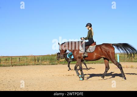 Eine R WILDER Reitschule mit einem sattelten Pferd und Reiter und blauem Himmel im Hintergrund Stockfoto