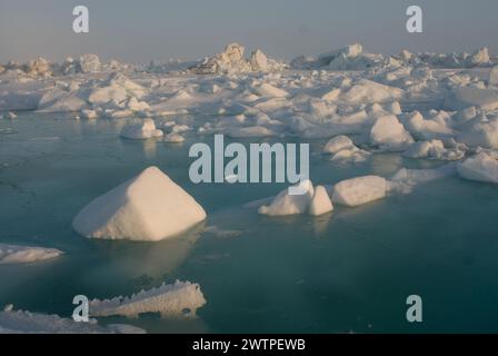 Meereslandschaft mit rauem Packeis über dem Chukchi-Meer im Frühling, vor der Küste des arktischen Dorfes Utqiagvik, arktisches Alaska Stockfoto