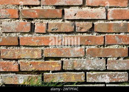Hintergrund einer alten orangen Ziegelmauer Stockfoto