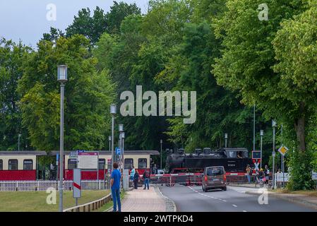 Historische, Mecklenburgische Baederbahn Molli am Bahnübergang in Heiligendamm, Mecklenburg-Vorpommern Stockfoto