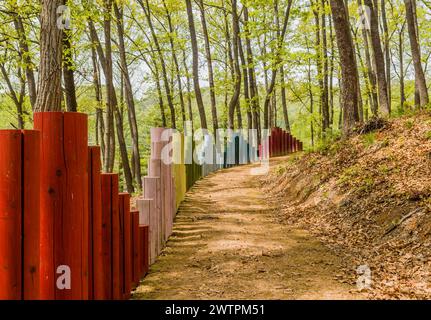 Ein von einem bunten Zaun gesäumter Feldweg schlängelt sich durch einen Wald in Daejeon, Südkorea Stockfoto