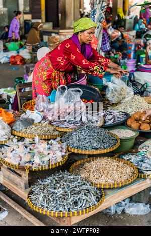 Traditioneller authentischer Lebensmittelmarkt, Verkäufer, Frau, Fisch, Fischverkäufer, frisch, Lebensmittel, Ernährung, Verkauf, Handel, basar, authentisch, Krankheitsvektor, Essen Stockfoto