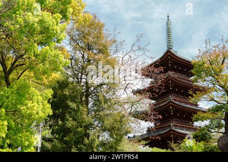 Ueno Park fünfstöckige Pagode des Kanei-JI-Tempels in Tokio, Japan Stockfoto