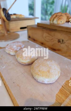 Bomboloni, krapfen oder Donuts auf einem Holztisch. Hausgemachte gebratene Donuts gefüllt mit Vanillepudding und mit einem Schleier Zucker gewürzt. Stockfoto