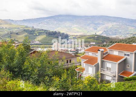 Landschaft mit terrassenförmig angelegten Weinbergen in der Nähe von Peso da Régua in Portugal Stockfoto