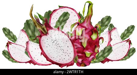 Drachenfrucht. Aquarellhandzeichnung Komposition exotischer Früchte des Pitahayakaktus. Clip-Art isoliert auf weißem Hintergrund. Für die Konstruktion eines Stockfoto