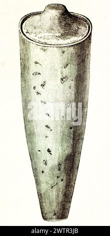 Vase aus Tongeschirr mit der heiligen Ibis Mumie (Nationalmuseum für Naturgeschichte Frankreichs). Veröffentlicht auf Magasin Pittoresque, Paris, 1852 Stockfoto