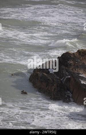 Felsen und Meer vor der Küste von Dorset in St Oswald's Bay, im März, Dorset, England, Großbritannien Stockfoto
