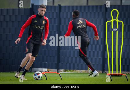 Tubize, Belgien. März 2024. Das belgische Zeno Debast wurde während eines Trainings der belgischen Fußballnationalmannschaft Red Devils im Trainingszentrum des Königlichen belgischen Fußballverbandes in Tubize am Dienstag, den 19. März 2024, in Aktion dargestellt. Am Samstag spielen die Red Devils ein Freundschaftsspiel gegen Irland, das Teil der Vorbereitungen für die Euro 2024 ist. BELGA PHOTO VIRGINIE LEFOUR Credit: Belga News Agency/Alamy Live News Stockfoto