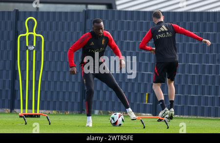 Tubize, Belgien. März 2024. Der belgische Dodi Lukebakio wurde während eines Trainings der belgischen Fußballnationalmannschaft Red Devils im Trainingszentrum des Königlichen Belgischen Fußballverbandes in Tubize am Dienstag, den 19. März 2024, in Aktion dargestellt. Am Samstag spielen die Red Devils ein Freundschaftsspiel gegen Irland, das Teil der Vorbereitungen für die Euro 2024 ist. BELGA PHOTO VIRGINIE LEFOUR Credit: Belga News Agency/Alamy Live News Stockfoto