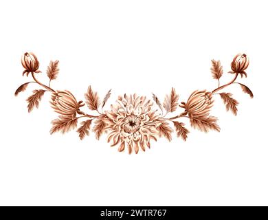 Chrysanthemenblüten mit Knospen und Blättern in Aquarellfarbe. Vintage monochrome Komposition, isoliert auf weißem Hintergrund. Handgezeichnete Illustration braun Stockfoto