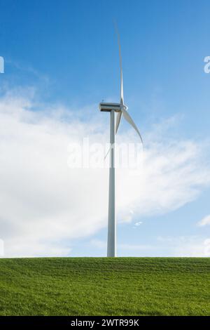Foto einer vertikalen Windmühle zur Stromerzeugung, die aus einer grünen Wiese hervorragt. Nachhaltige Entwicklung. Stockfoto