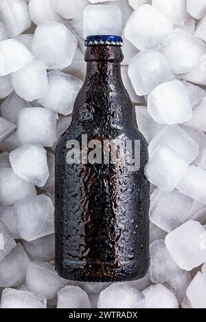 Eine kalte Flasche Bier, die in einem Ring aus Eiswürfeln gekühlt wird, wobei sich Kondenswasser auf der Oberfläche bildet, während es seine kühle Temperatur behält. Stockfoto