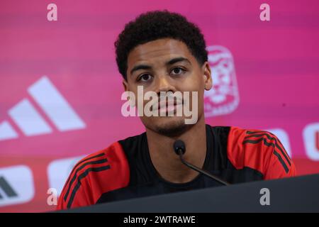 Tubize, Belgien. März 2024. Belgischer Koni de Winter, der während einer Medienaktivität der belgischen Fußballnationalmannschaft Red Devils im Trainingszentrum des Königlichen belgischen Fußballverbandes in Tubize am Dienstag, den 19. März 2024, zu sehen war. Am Samstag spielen die Red Devils ein Freundschaftsspiel gegen Irland, das Teil der Vorbereitungen für die Euro 2024 ist. BELGA PHOTO VIRGINIE LEFOUR Credit: Belga News Agency/Alamy Live News Stockfoto