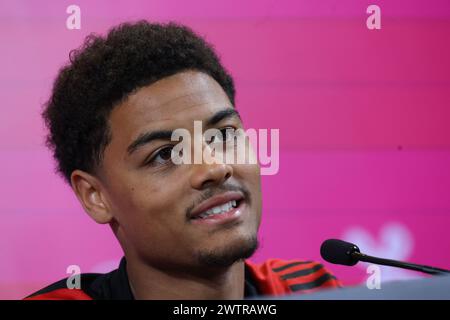 Tubize, Belgien. März 2024. Belgischer Koni de Winter, der während einer Medienaktivität der belgischen Fußballnationalmannschaft Red Devils im Trainingszentrum des Königlichen belgischen Fußballverbandes in Tubize am Dienstag, den 19. März 2024, zu sehen war. Am Samstag spielen die Red Devils ein Freundschaftsspiel gegen Irland, das Teil der Vorbereitungen für die Euro 2024 ist. BELGA PHOTO VIRGINIE LEFOUR Credit: Belga News Agency/Alamy Live News Stockfoto