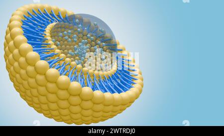 3D-Rendering von Nanomedizin innerhalb von Liposomlipidbilayer Stockfoto