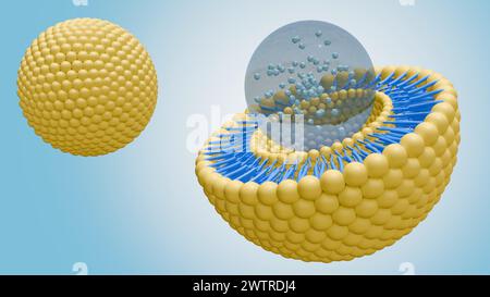 3D-Rendering von Nanomedizin innerhalb von Liposomlipidbilayer Stockfoto