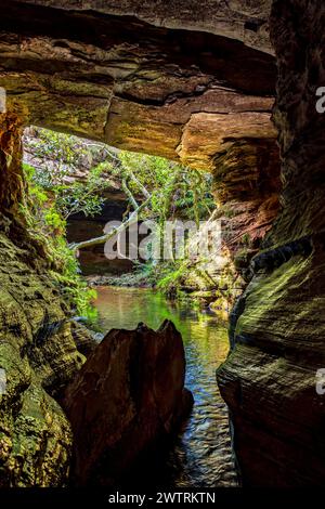 Der Fluss überquert die Höhle und den Regenwald in Carrancas, Minas Gerais, Brasilien Stockfoto