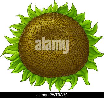 Sonnenblume mit Samen farbige detaillierte Illustration Stock Vektor