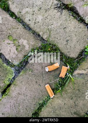 Zigarettenkippen verstreut auf dem schmutzigen Pflastersteinpflaster, aus einer erhöhten Perspektive betrachtet, die die Vernachlässigung und Verschmutzung der Städte darstellen. Stockfoto