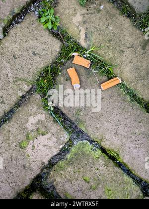 Zigarettenkippen verstreut auf dem schmutzigen Pflastersteinpflaster, aus einer erhöhten Perspektive betrachtet, die die Vernachlässigung und Verschmutzung der Städte darstellen. Stockfoto