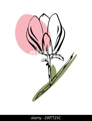 Magnolie im Skizzenstil mit abstrakten Farbformen, handgezeichnet isoliert auf weißem Hintergrund. Stock Vektor