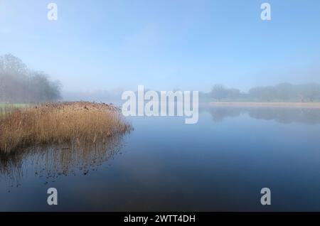 Nebel auf dem blickling Park Lake, norfolk, england Stockfoto