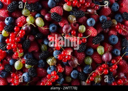 Textur frischer Beeren Fruchtsorte und Beeren Himbeeren, Johannisbeeren, schwarzen Beeren Heidelbeeren Maulbeeren und Brombeeren Stockfoto