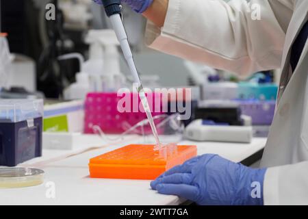 Attraktive Wissenschaftlerinnen testen mit Reagenzglasblut und Peppet auf dna-Ergebnisse Stockfoto