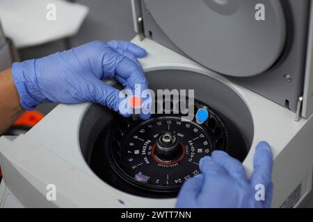 Attraktive Wissenschaftlerin untersucht Bio-Material mit medizinischen Geräten blutiges Spinnen Stockfoto