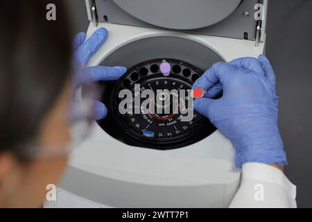 Attraktive Wissenschaftlerin untersucht Bio-Material mit medizinischen Geräten blutiges Spinnen Stockfoto