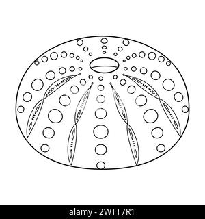 Seeigel-Shell-Vektor-Illustration. Schwarz-weiß-Umriss Seeigel Ausmalseite für Kinder und Erwachsene. Seite für Entspannung und Meditation. Vektorabbildung Stock Vektor