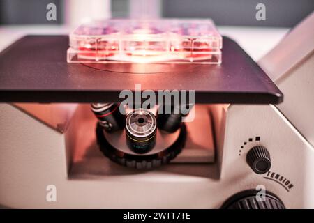 Mikroskop unter Licht, das dna-Material aus der Nähe untersucht Stockfoto