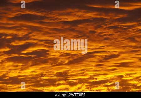 Sonnenaufgang in Columbia, South Carolina Stockfoto