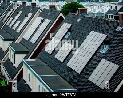 Häuserreihen mit einheitlichen Dächern unter bedecktem Himmel Stockfoto