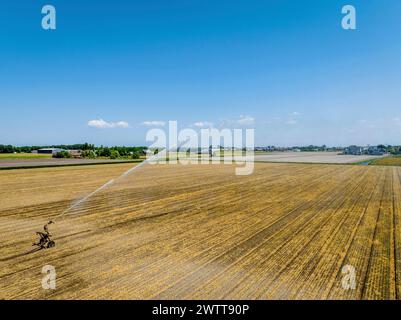 Ein einsamer Landwirt, der sich zu ausgedehnten Feldern unter klarem blauem Himmel neigt. Stockfoto