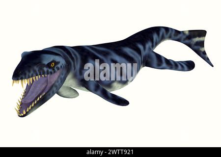 Dakosaurus war ein Marine fleischfressende Reptilien, die in den Meeren Europas, in Mexiko und Argentinien während der Jura- und Kreidezeit Zeiten lebte. Stockfoto