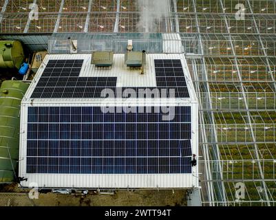 Solarpaneele auf einem Gewächshausdach, die nachhaltige Energie liefern Stockfoto