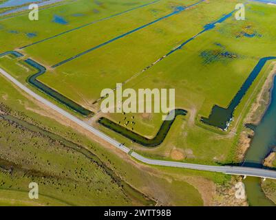 Der niederländische Nationalpark de Biesbosch, aus der Vogelperspektive auf die Feuchtgebiete. Stockfoto