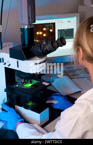 Wissenschaftler, der Proben unter einem Mikroskop im Labor untersucht Stockfoto