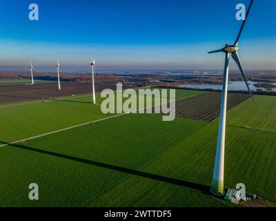 Windturbinen ragen über grüne Felder unter klarem blauen Himmel Stockfoto