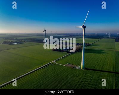 Ein ruhiger Sonnenaufgang über einem Windpark mit weitläufigen grünen Feldern. Stockfoto