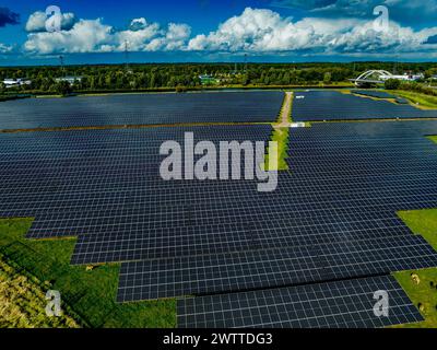 Ein riesiger Solarpark, der sich unter einem bewölkten Himmel erstreckt. Stockfoto