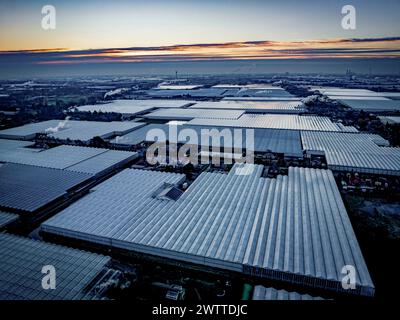 Ein Blick aus der Vogelperspektive auf schneebedeckte Gewächshäuser in der Abenddämmerung Stockfoto