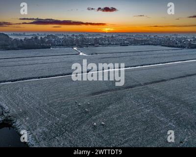 Frostiger Sonnenaufgang über einem ruhigen Ackerland mit Schafweiden. Stockfoto